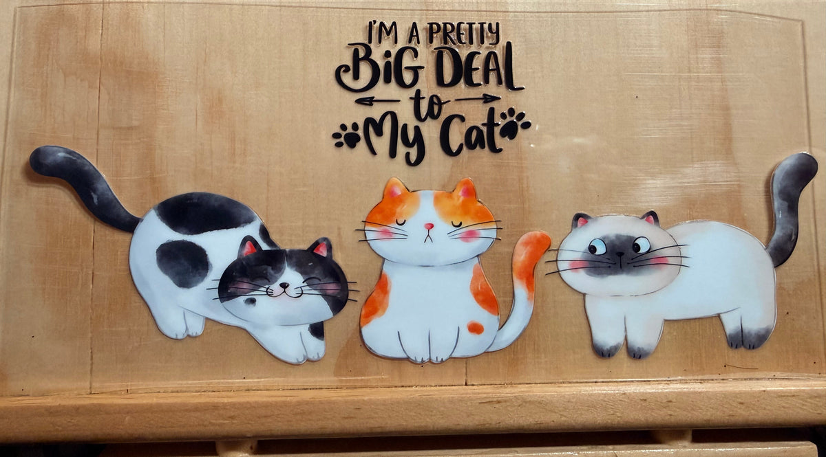 0085- i’m a pretty big deal to my cat